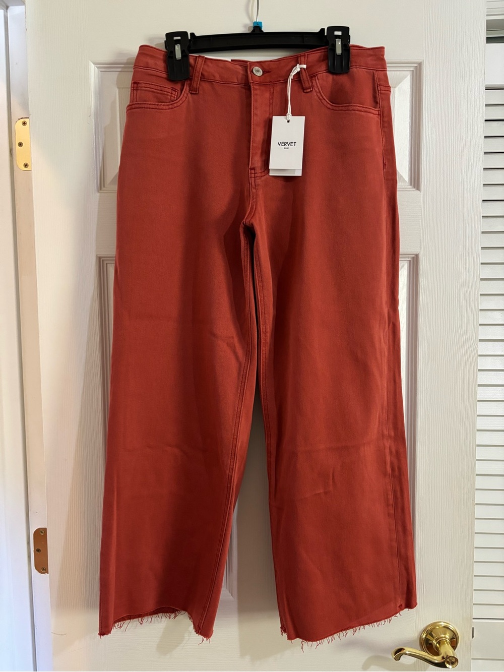Vervet Relaxed Wide-Leg Jeans in Rust Red
